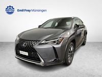 Gebraucht Lexus UX 250h 184 PS (135 kW) 2023 SUV