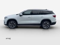 Neu Skoda Kodiaq Dynamic 204 PS (150 kW) 2026 Moon weiss, metallic SUV