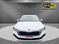 Gebraucht Skoda Octavia Ambition 110 PS (80 kW) 2022 Kombi