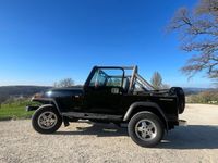 Gebraucht Jeep Wrangler Laredo 103 PS (75 kW) 1990 SUV