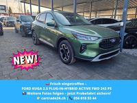 Neu Ford Kuga Active 243 PS (178 kW) 2026 SUV