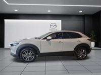 gebraucht Mazda CX-30 SKYACTIV-X 186 M Hybrid Exclusive Line AWD AT