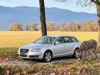 Gebraucht Audi A6 Business 210 PS (154 kW) 2007 Kombi