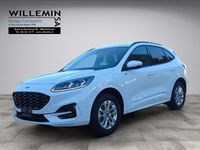 Gebraucht Ford Kuga ST-Line X 152 PS (111 kW) 2023 Weiss SUV