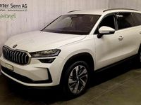 Neu Skoda Kodiaq Dynamic 204 PS (150 kW) 2026 SUV