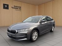 Gebraucht Skoda Octavia Selection 150 PS (110 kW) 2024 Kombi