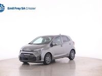 Neu Kia Picanto 68 PS (50 kW) 2025 Grau Kleinwagen