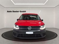 Gebraucht VW Caddy Maxi 102 PS (75 kW) 2020 Van / Kleinbus