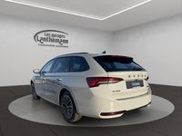 Neu Skoda Octavia Dynamic 150 PS (110 kW) 2026 Grau Kombi