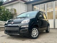Neu Fiat Panda City Life 70 PS (51 kW) 2025 Kleinwagen
