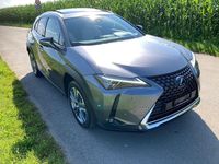 Gebraucht Lexus UX 300e 150 kW (204 PS) 2021 SUV