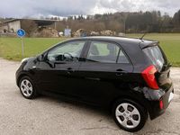 Gebraucht Kia Picanto Classic 69 PS (50 kW) 2013 Kleinwagen