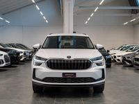 Gebraucht Skoda Kodiaq Selection 204 PS (150 kW) 2025 SUV