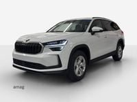Neu Skoda Kodiaq Selection 193 PS (141 kW) 2026 Moon weiss, metallic SUV