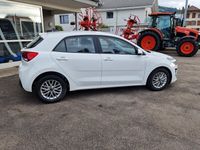 Gebraucht Kia Rio 100 PS (73 kW) 2023 Kleinwagen