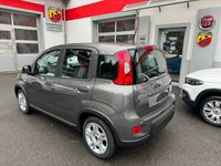 gebraucht Fiat Panda 1.0 MHEV Cult