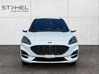 Gebraucht Ford Kuga ST-Line X 2023 Weiss SUV