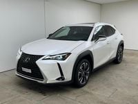 Gebraucht Lexus UX 250h 184 PS (135 kW) 2024 Weiss SUV
