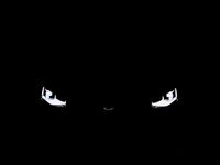 Neu VW Caddy Maxi 122 PS (89 kW) 2026 Gold Van / Kleinbus