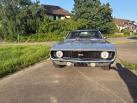 Gebraucht Chevrolet Camaro SS 305 PS (224 kW) 1969