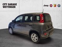 gebraucht Fiat Panda 1.0 MHEV Cult