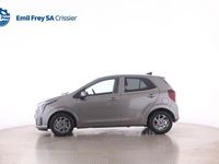 Neu Kia Picanto 68 PS (50 kW) 2025 Grau Kleinwagen