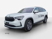 Gebraucht Skoda Kodiaq Dynamic 204 PS (150 kW) 2026 Moon weiss, metallic SUV