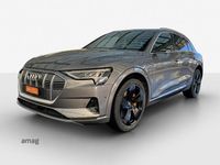 Gebraucht Audi e-tron Advanced 300 kW (408 PS) 2019 Taifungrau metallic SUV