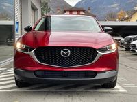 Neu Mazda CX-30 Homura-Line 186 PS (136 kW) 2026 Rot SUV