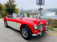 Gebraucht Austin Healey 3000 MK III 150 PS (110 kW) 1965 Cabrio