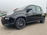 Gebraucht Fiat Panda Cross Cross 70 PS (51 kW) 2024 Kleinwagen