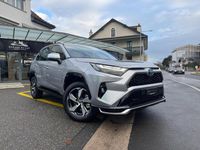 Neu Toyota RAV4 Hybrid Plus 306 PS (225 kW) 2025 SUV