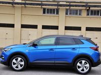 Gebraucht Opel Grandland X Ultimate 130 PS (95 kW) 2020 SUV