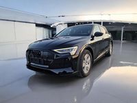Gebraucht Audi e-tron Advanced 230 kW (313 PS) 2019 SUV