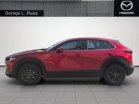 Gebraucht Mazda CX-30 Center-Line 140 PS (102 kW) 2024 SUV