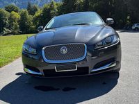 Gebraucht Jaguar XF 190 PS (139 kW) 2012 Limousine