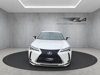 Gebraucht Lexus UX 250h 152 PS (111 kW) 2020 SUV