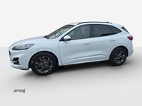 Gebraucht Ford Kuga ST-Line X 152 PS (111 kW) 2023 Weiss SUV