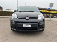 Gebraucht Fiat Panda Cross Cross 70 PS (51 kW) 2024 Kleinwagen
