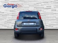 gebraucht Fiat Panda 1.0 MHEV City Life