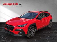 Gebraucht Subaru Crosstrek 136 PS (100 kW) 2024 SUV