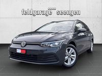 Gebraucht VW Golf VIII Life 130 PS (95 kW) 2023 Kombi