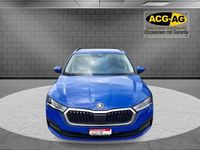 Gebraucht Skoda Octavia Ambition 115 PS (84 kW) 2023 Kombi