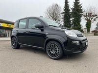 Gebraucht Fiat Panda Cross Cross 70 PS (51 kW) 2024 Kleinwagen
