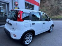 gebraucht Fiat Panda 1.0 MHEV Cult