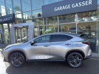 Neu Lexus NX350h E-FOUR 244 PS (179 kW) 2025