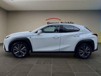 Neu Lexus UX 300h 199 PS (146 kW) 2025 Weiss SUV