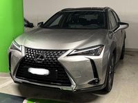 Gebraucht Lexus UX 300h 199 PS (146 kW) 2024 SUV