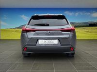Gebraucht Lexus UX 300e 150 kW (204 PS) 2022 Grau SUV