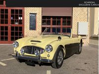 Gebraucht Austin Healey 100 128 PS (94 kW) 1959 Cabrio